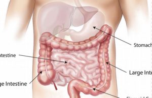 Mide kanseri nedir? Mide kanseri teşhisi, tedavisi nasıl yapılır?