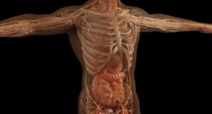 Kronik böbrek hastalığı kadınları erkeklerden daha çok etkiler