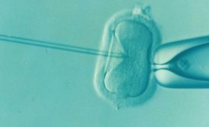 What is IVF and how is it done?