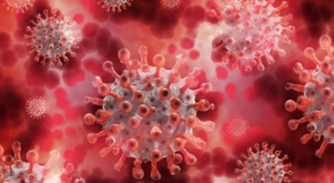 <strong>İstanbul’da maymun çiçeği alarmı!</strong>