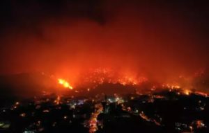 Yeşil Bursa yanıyor!